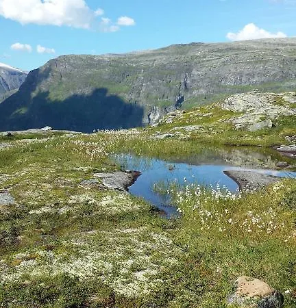 Djupvasshytta *