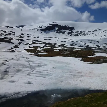 Hotel Djupvasshytta *