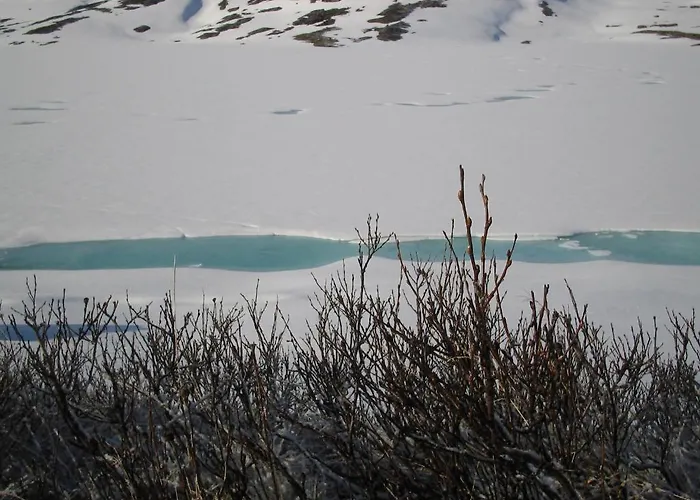 Djupvasshytta Hotel Geiranger