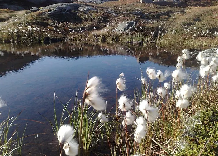 Hotel Djupvasshytta *