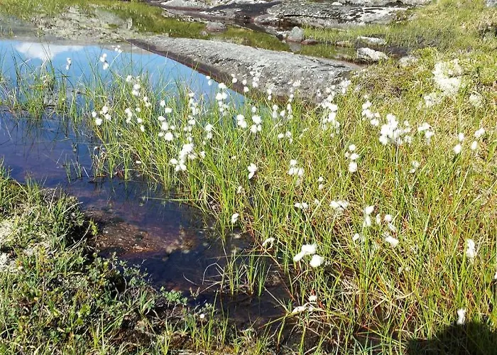 Hotel Djupvasshytta Geiranger