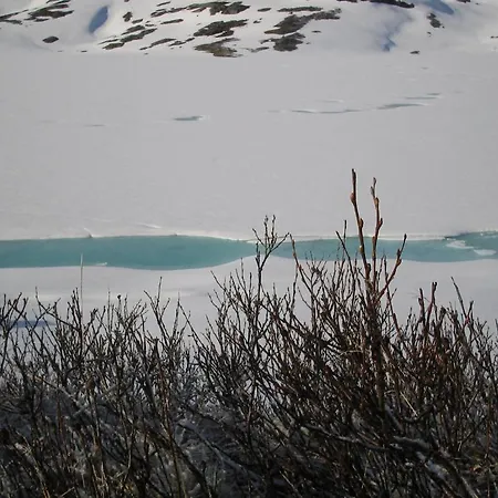 Djupvasshytta Hotel Geiranger