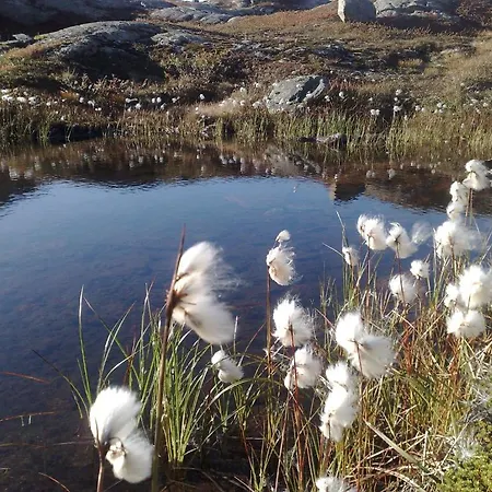 Hotel Djupvasshytta *