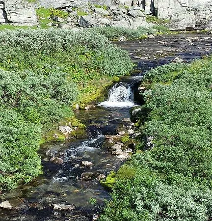 Djupvasshytta