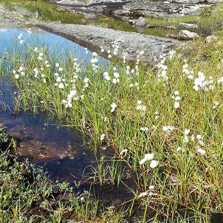 Hotel Djupvasshytta Geiranger